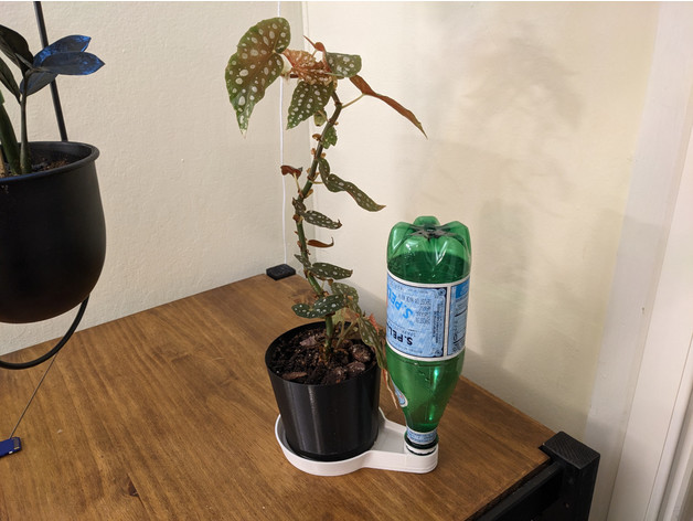 Self-Watering Plant Dish