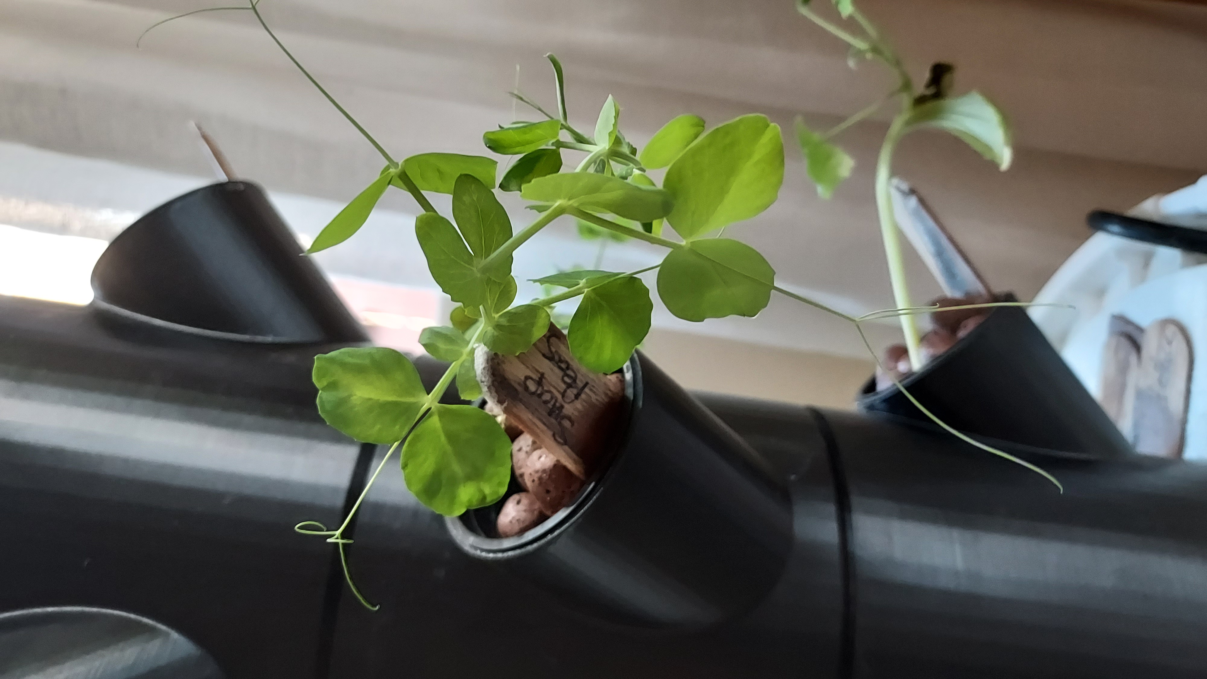 Hydroponics tower — miniatura 7