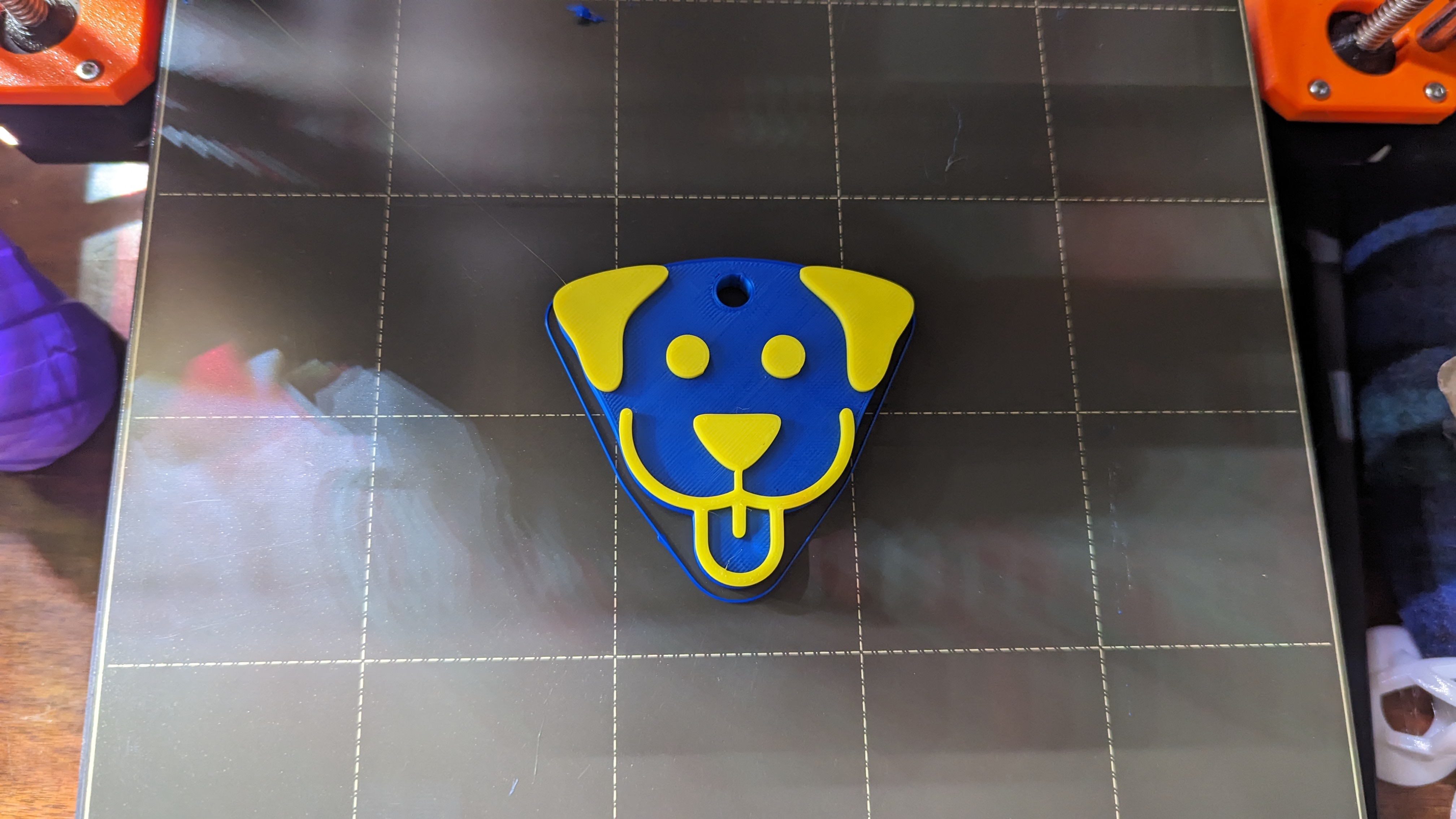 Doggy Tag!