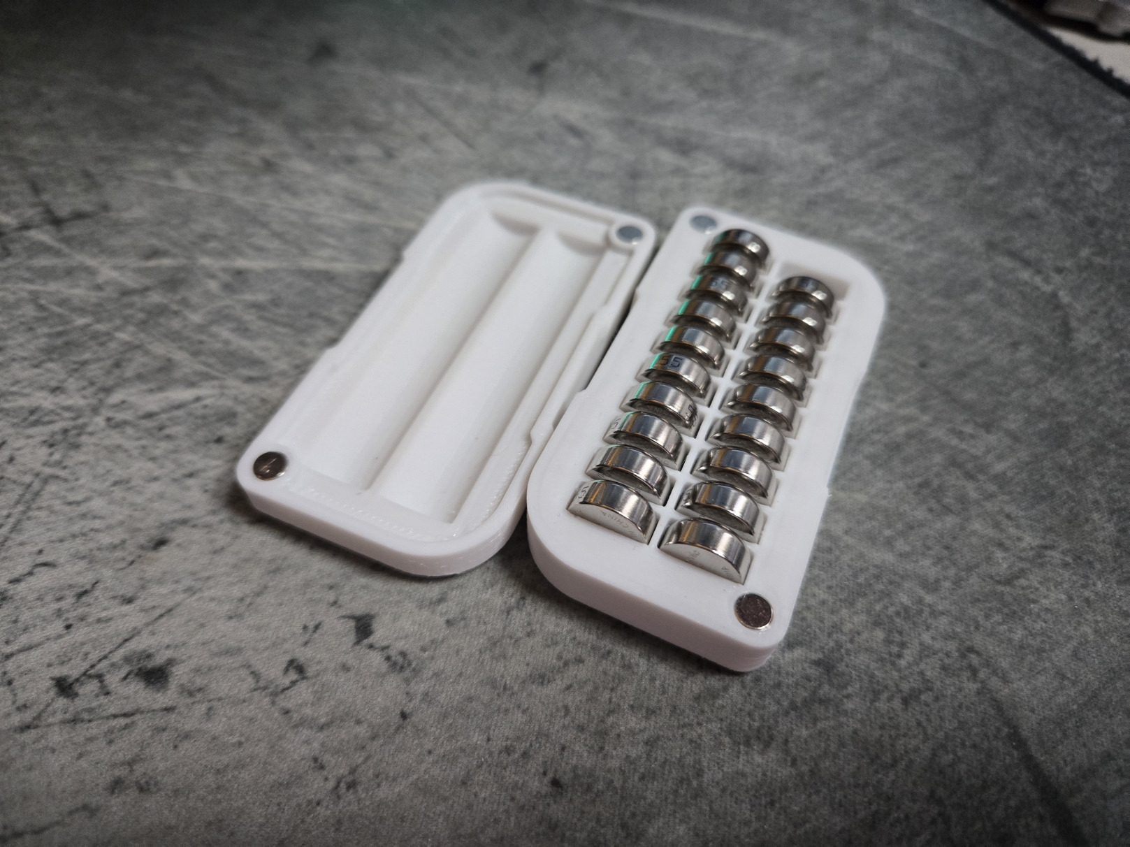 LR44 Button Cell Storage