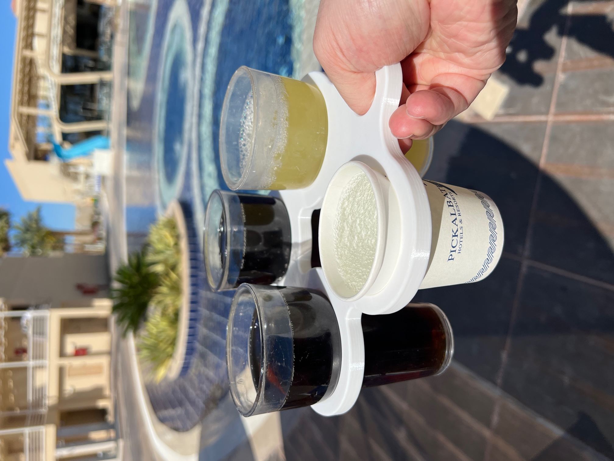 Holiday Cup Carrier
