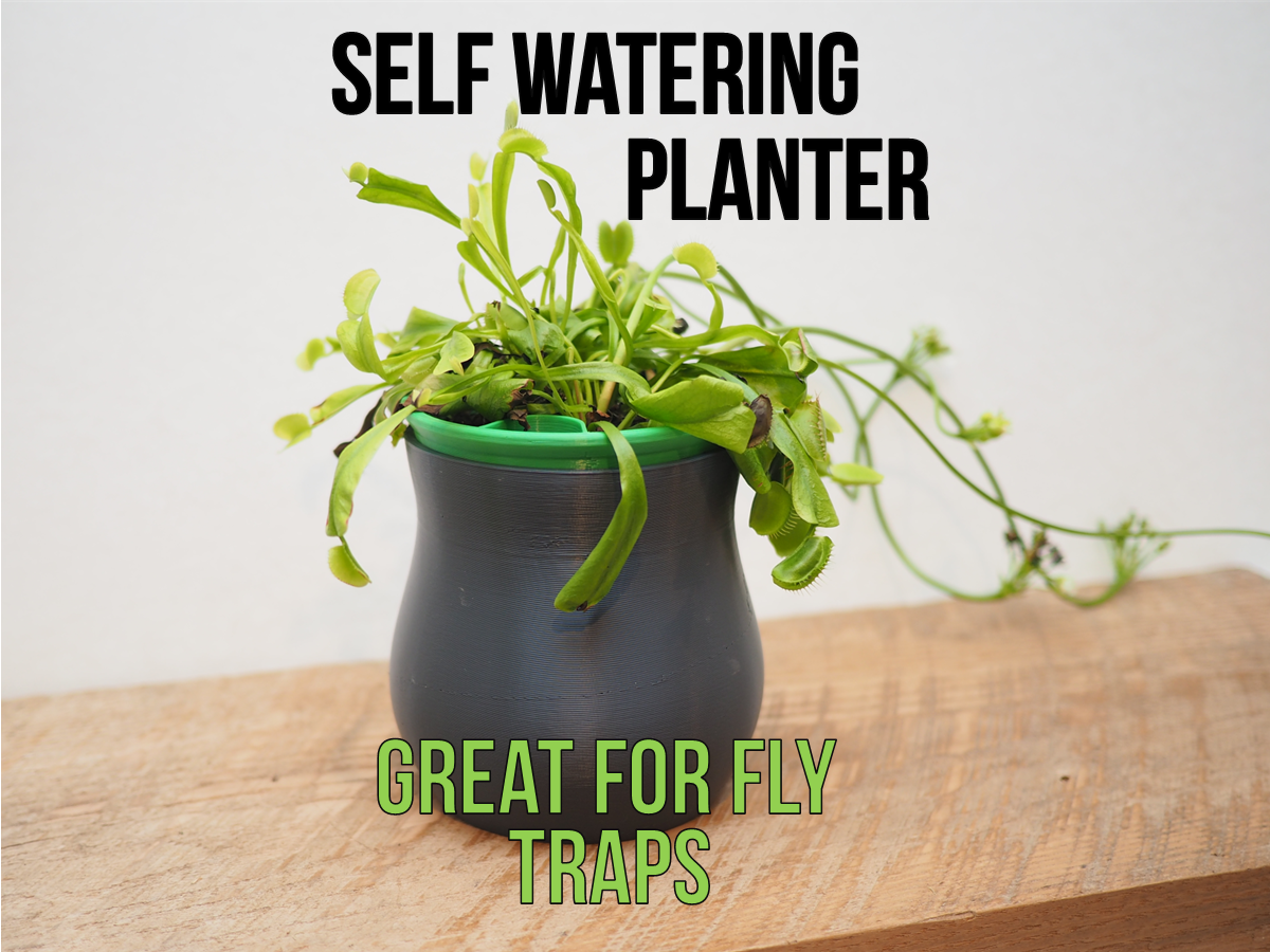 Self Watering Planter - Venus Fly Trap