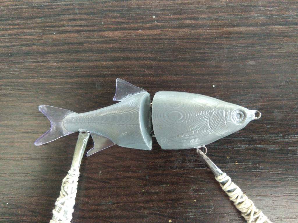 Miniatura 5 do modelo 3D Swimbait Rudd