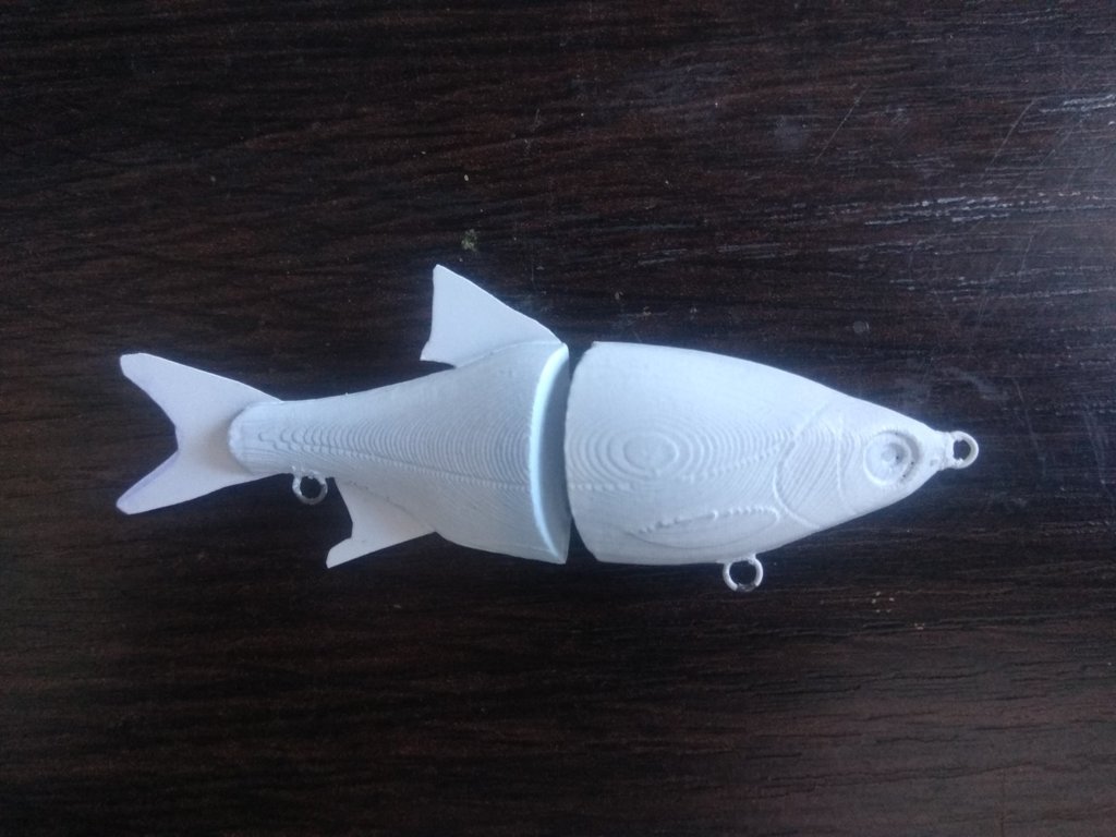 Miniatura 6 do modelo 3D Swimbait Rudd
