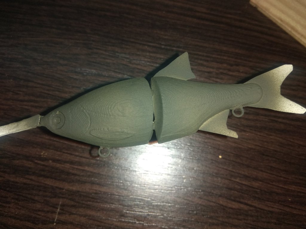 Miniatura 7 do modelo 3D Swimbait Rudd