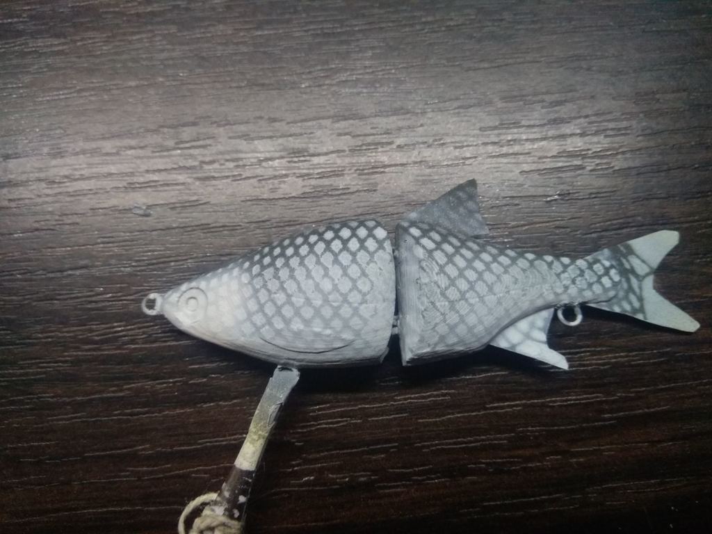 Miniatura 10 do modelo 3D Swimbait Rudd