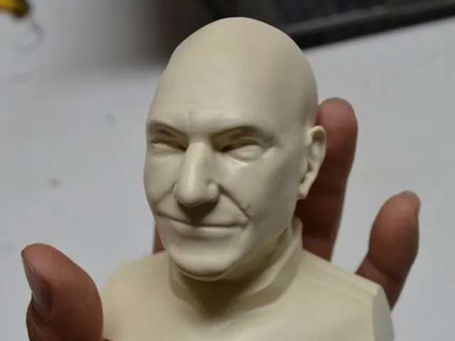 Picard Bust