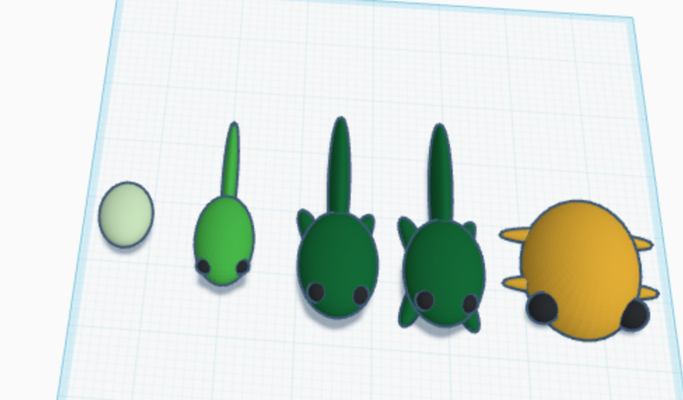 Complete frog lifecycle
