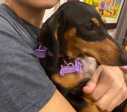 Dachshund Dog Tag