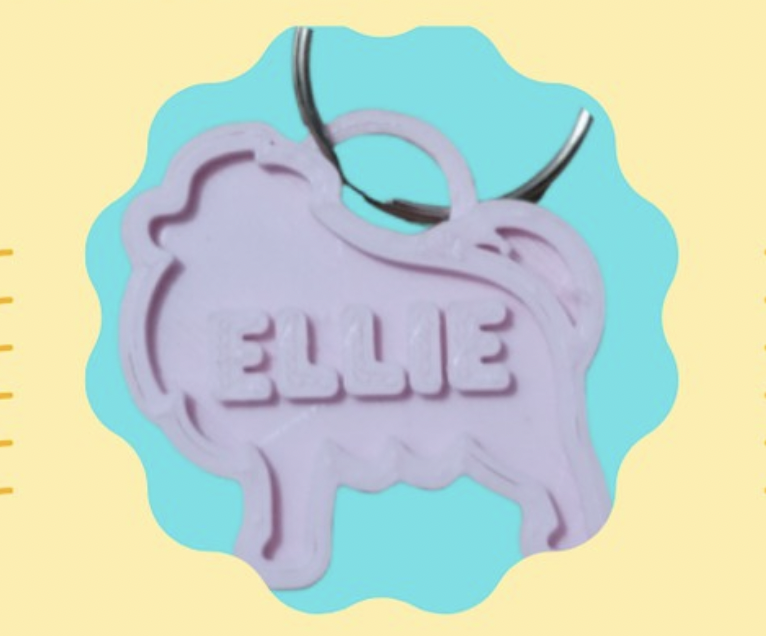 Pomeranian Pet Tag