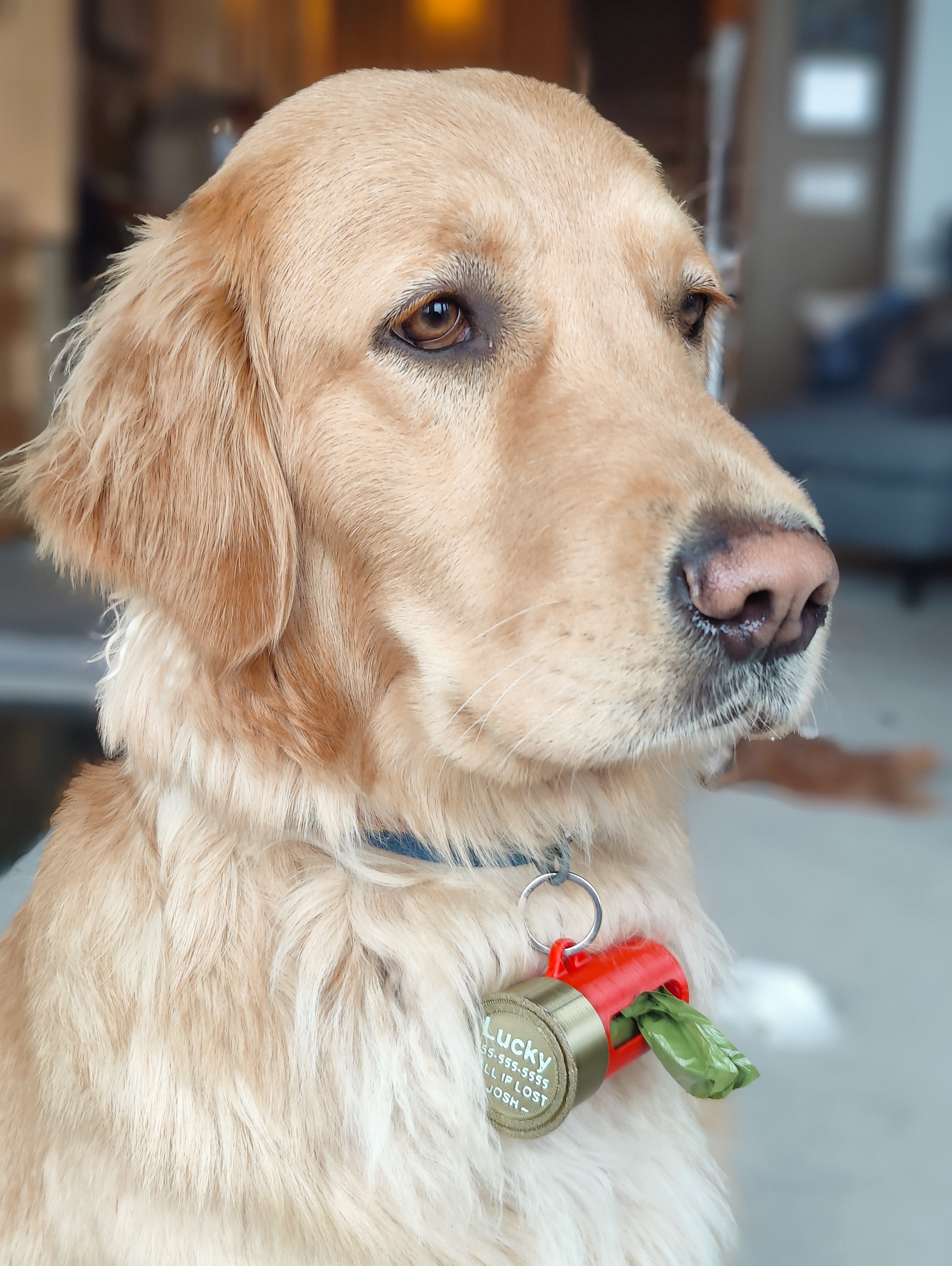 Dog tag clearance bag