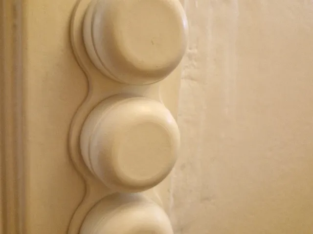 Light switch covers