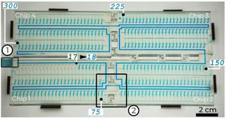 Microfluidic chip implementing sequential realease 300 aliquots