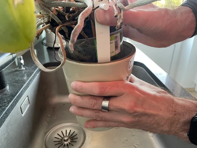 Orchid Pot Watering Lifter