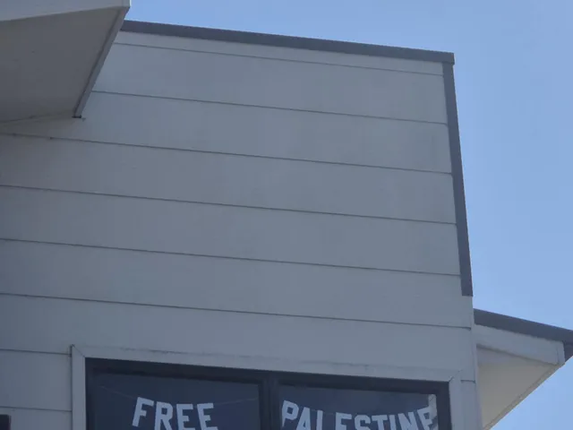 Free Palestine DIY Bunting