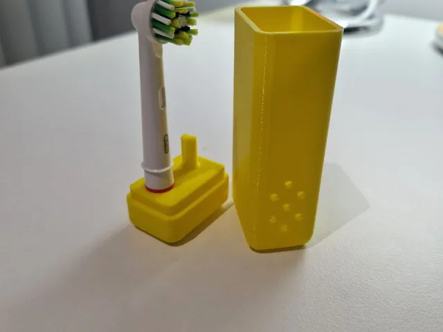 Oral-B brush head case