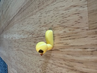 duck organic modeling — miniatura 2