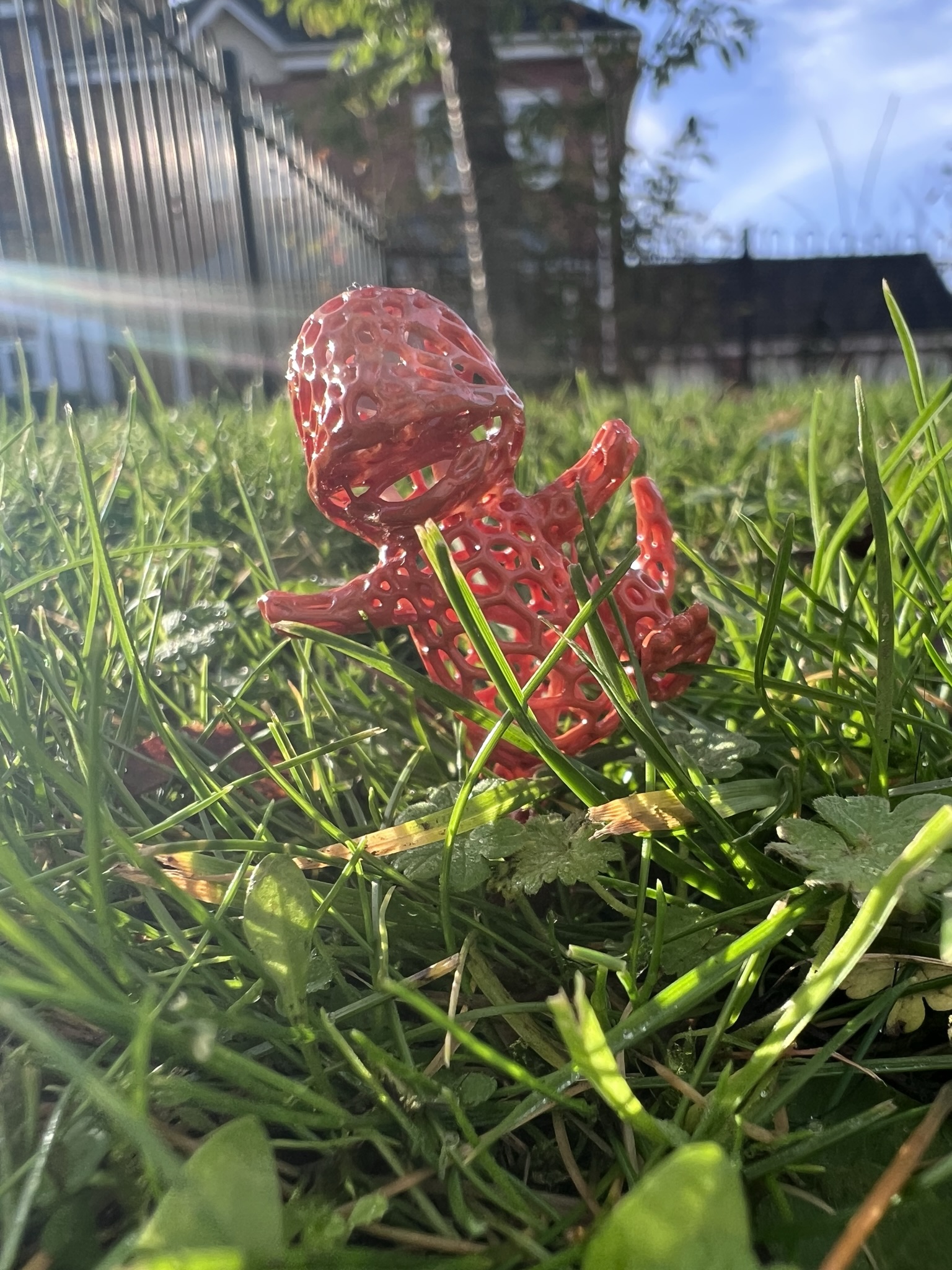 Charmander Voronoi