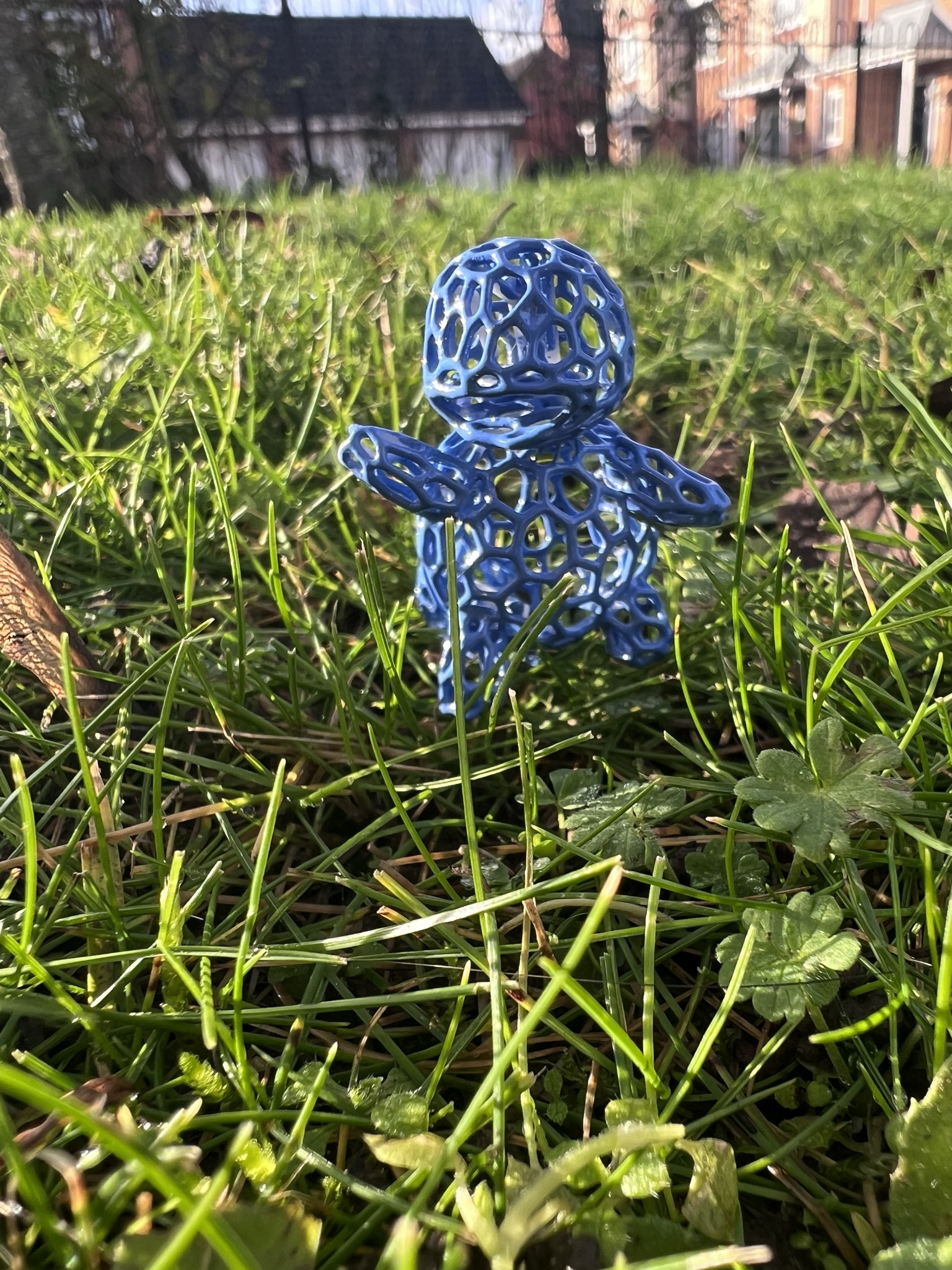 Squirtle Voronoi