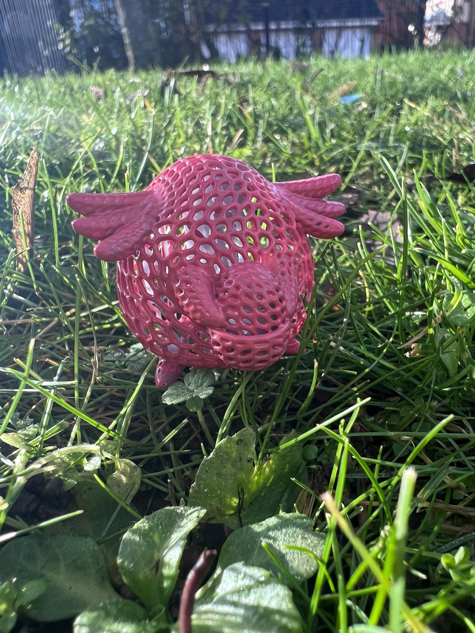 Chansey Voronoi