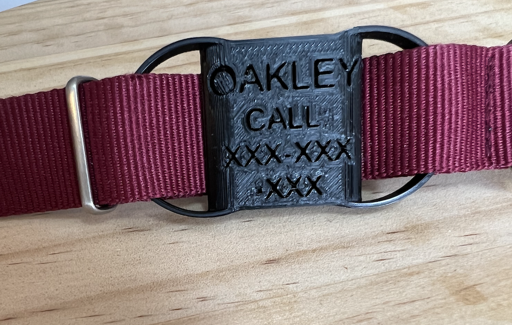 Discrete Dog Tag