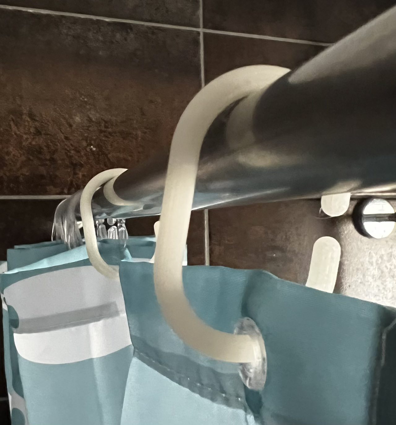 Shower ring