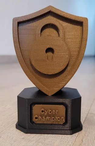 Cyber Champion Award