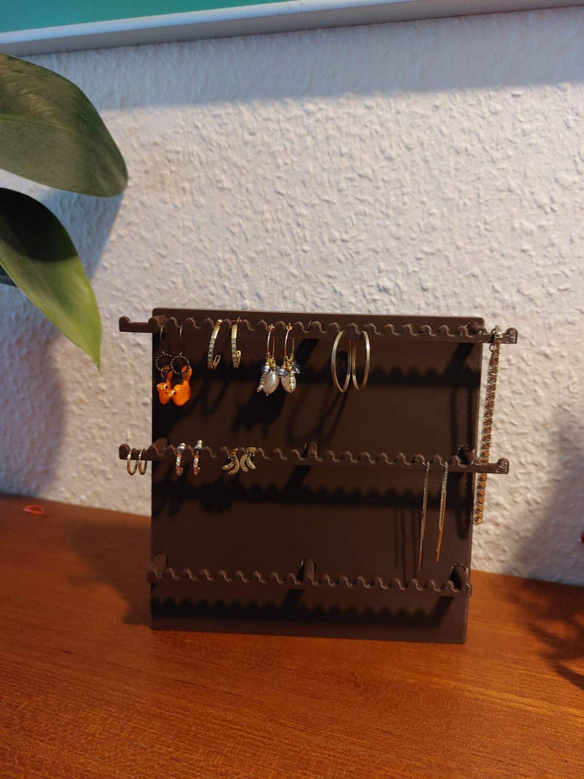 Earring and bracelet holder/organizer