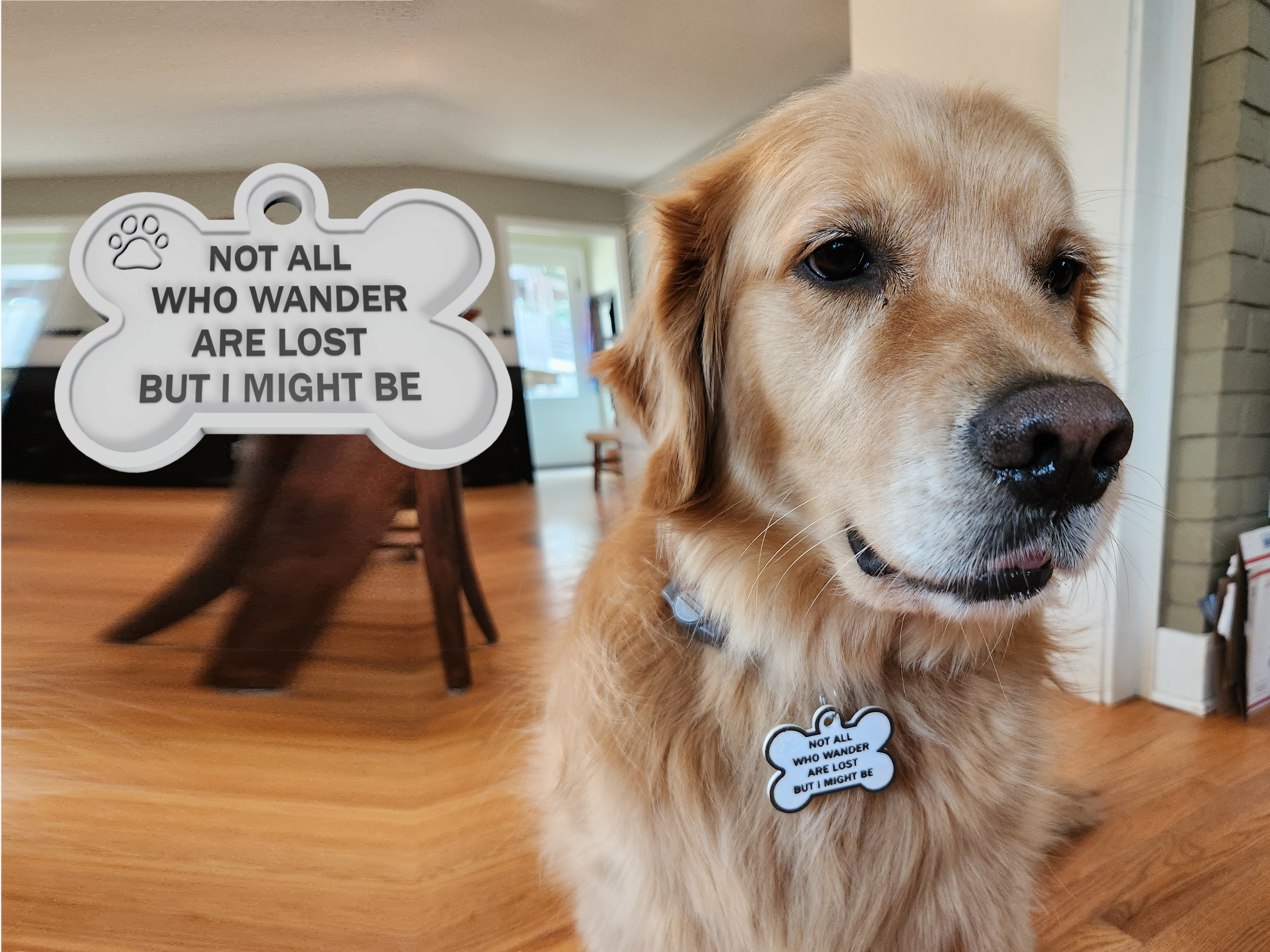 The Wandering Dog Tag