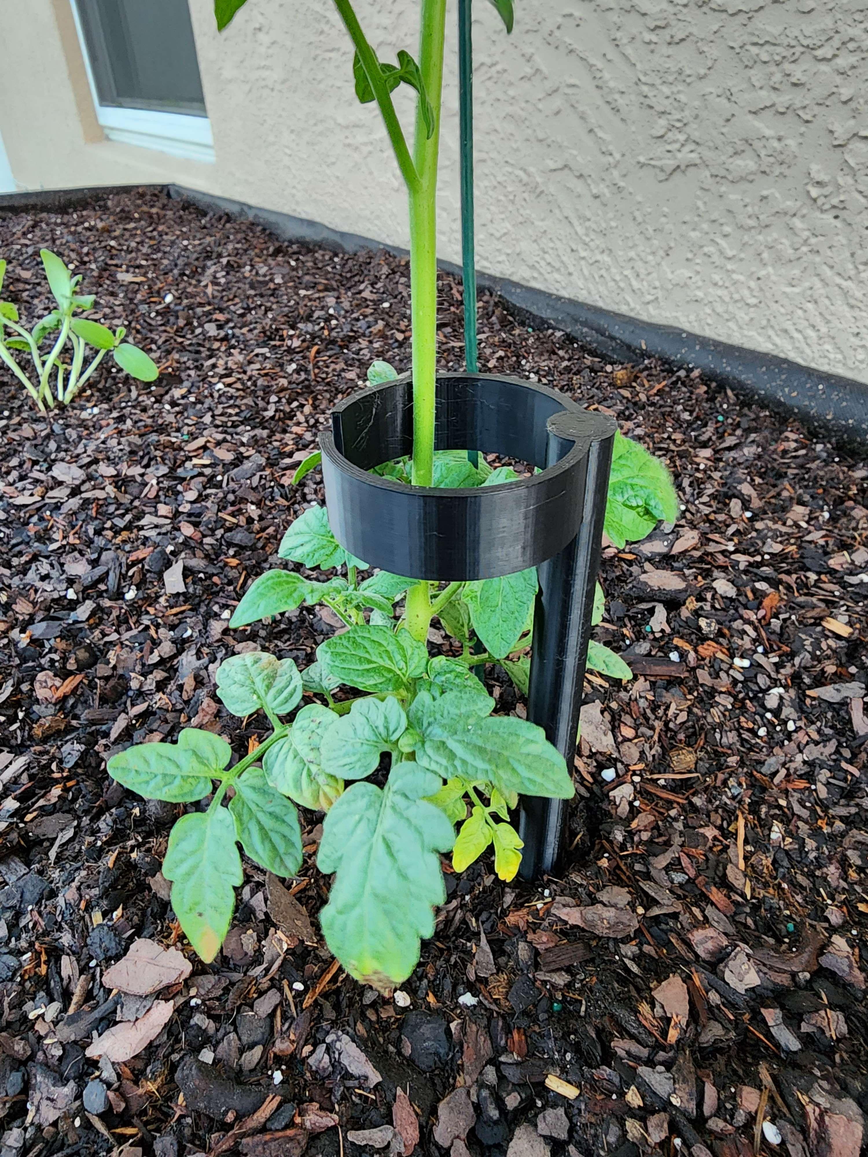 Garden spike