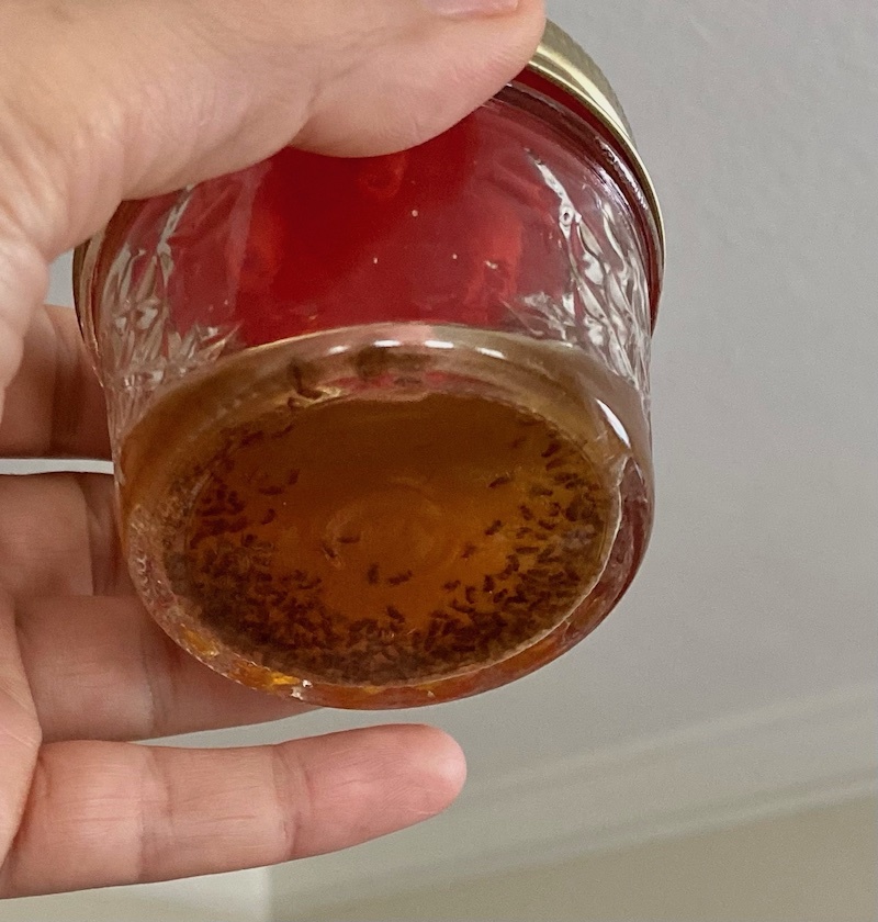 Mason Jar Fruit Fly Trap by kozmickid | Download free STL model ...