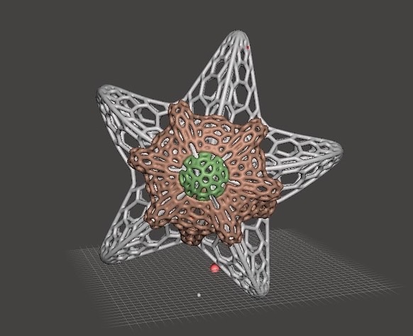 Staryu Voronoi