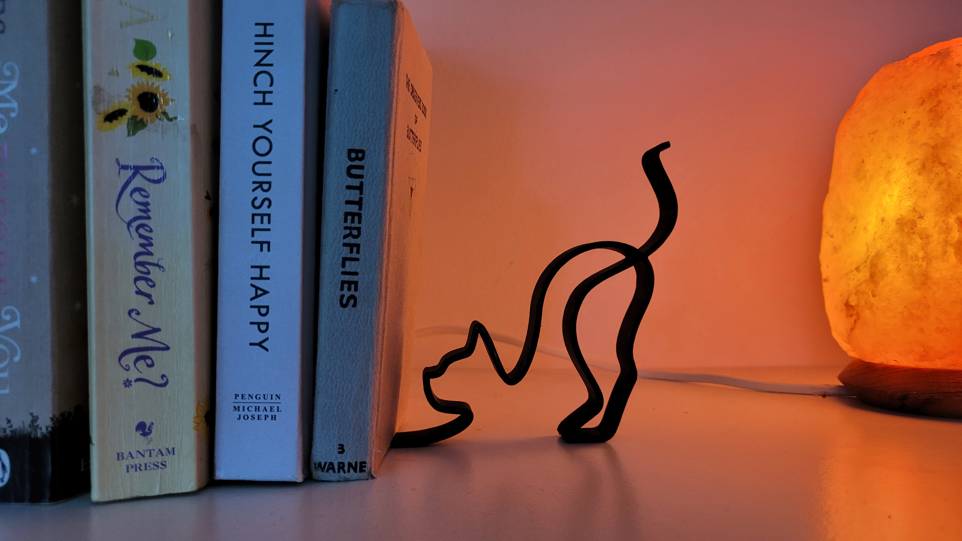 Lightweight minimalist cat bookend