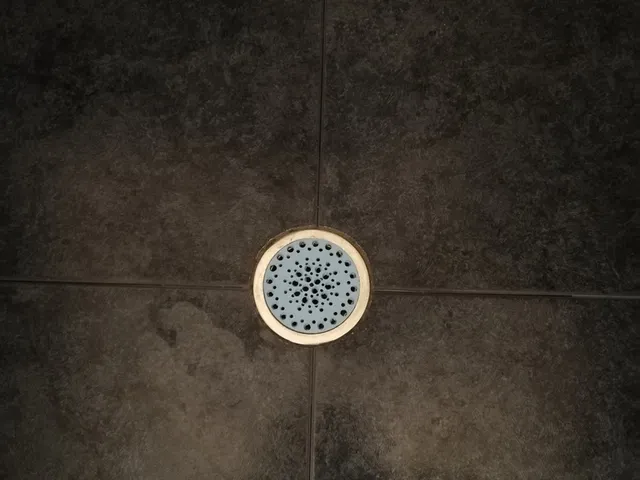 Drain Lid - Hair Catcher