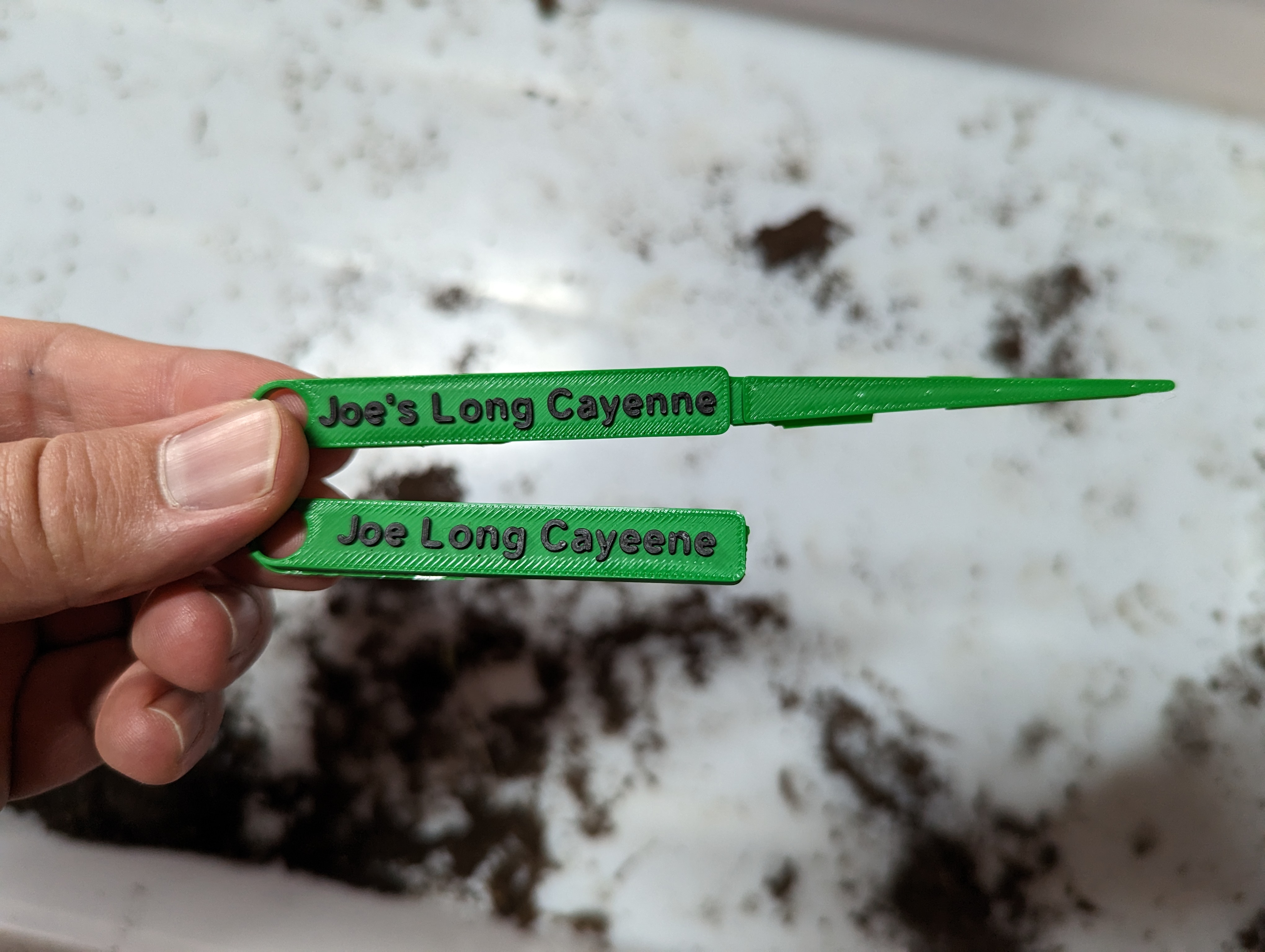 Garden Vegetable Name stakes and tie