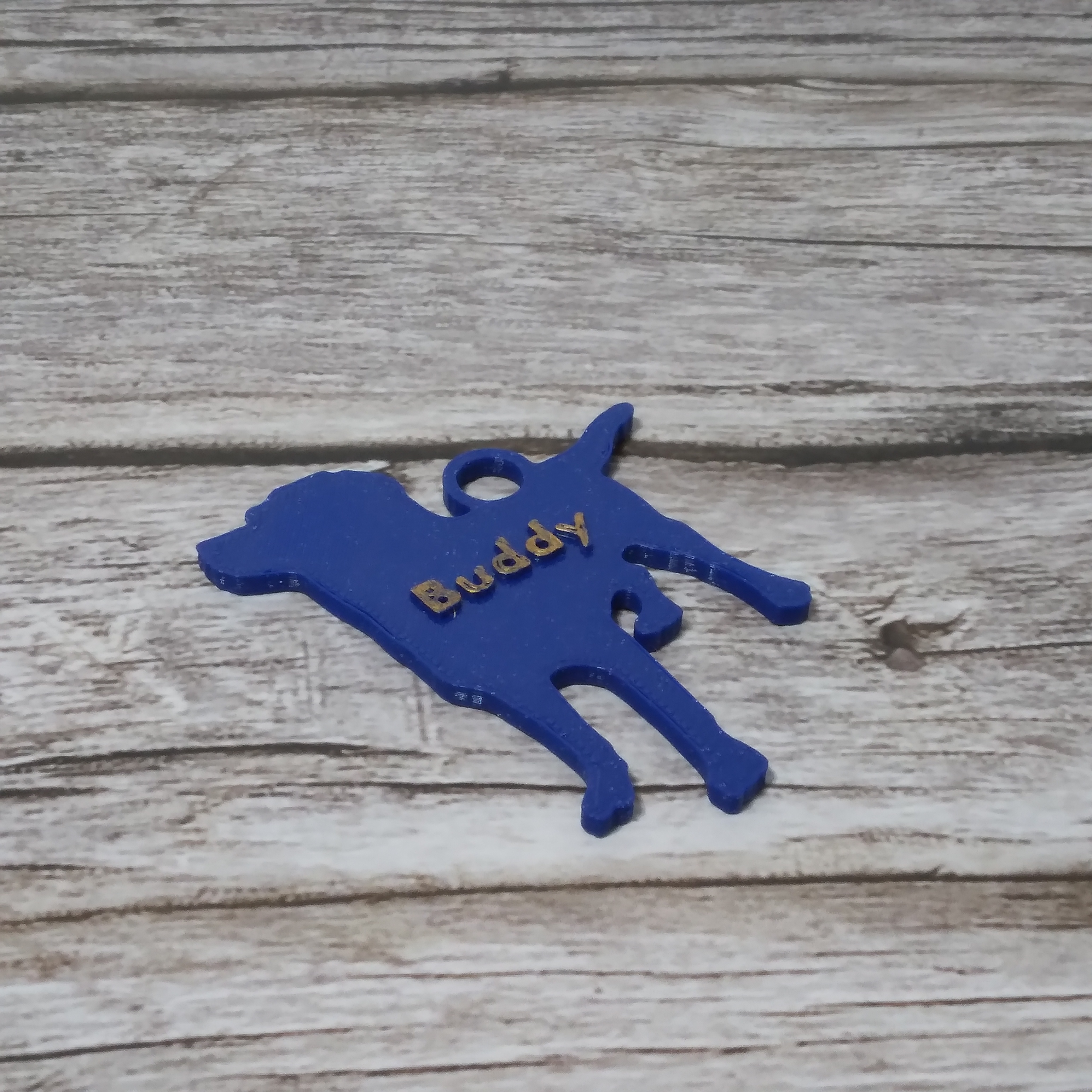 Dog medallion with two faces (personalized)