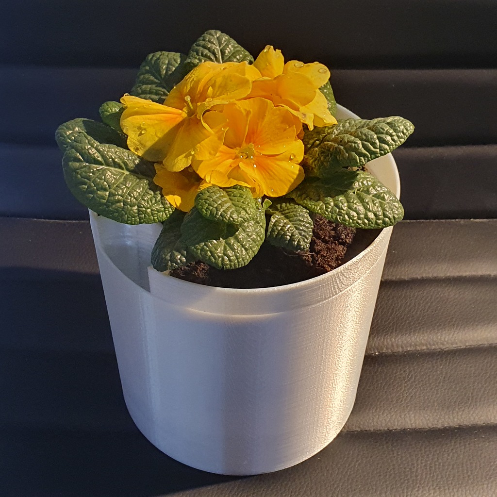 Self Watering Planter