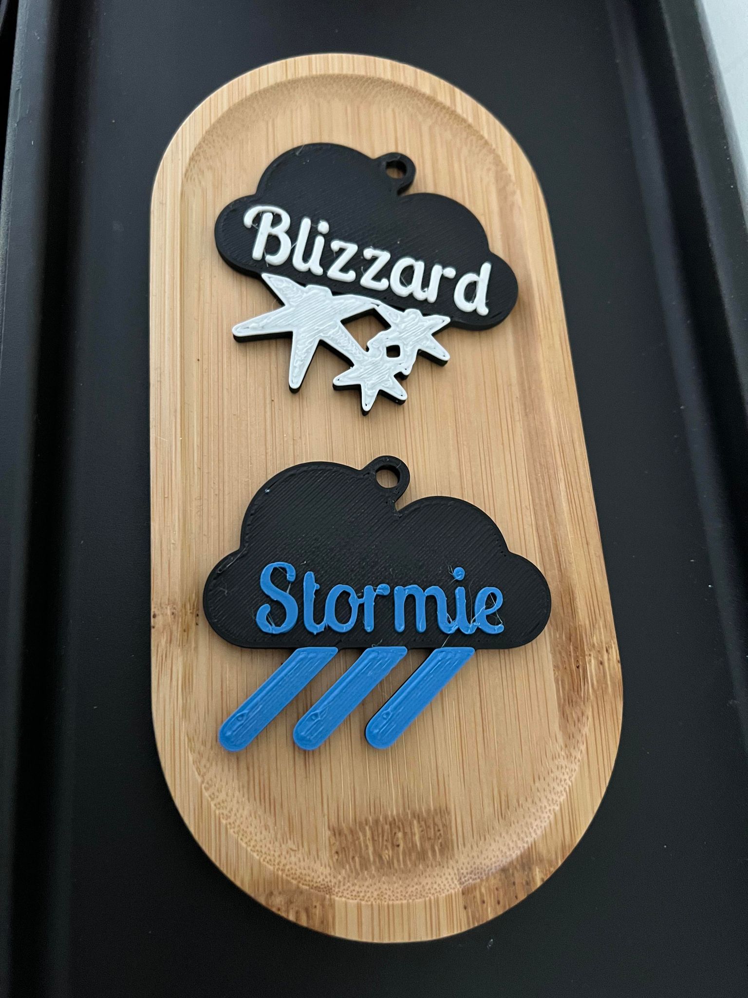 Weather themed Dog ID Tags
