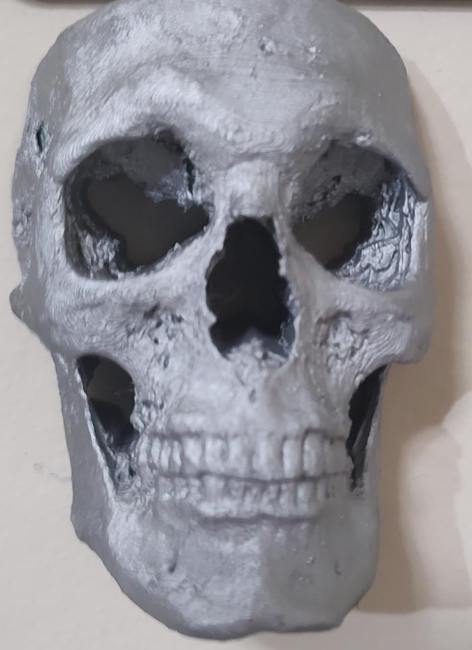 Real Skull from Tomography
