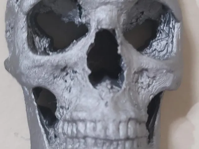 Real Skull from Tomography