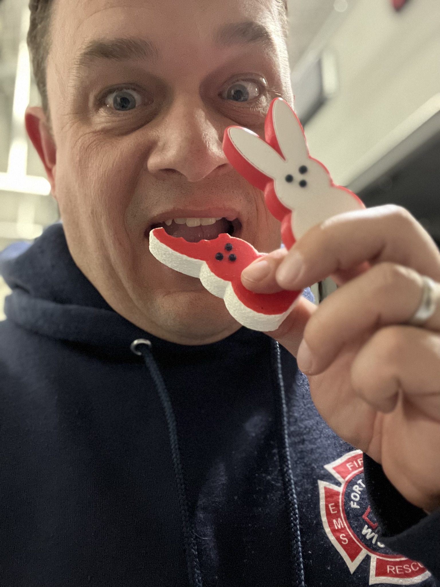 A Peep With The Bite Taken Out By Jason Skidmore Download Free STL a-peep-with-the-bite-taken-out-by-jason-skidmore-download-free-stl