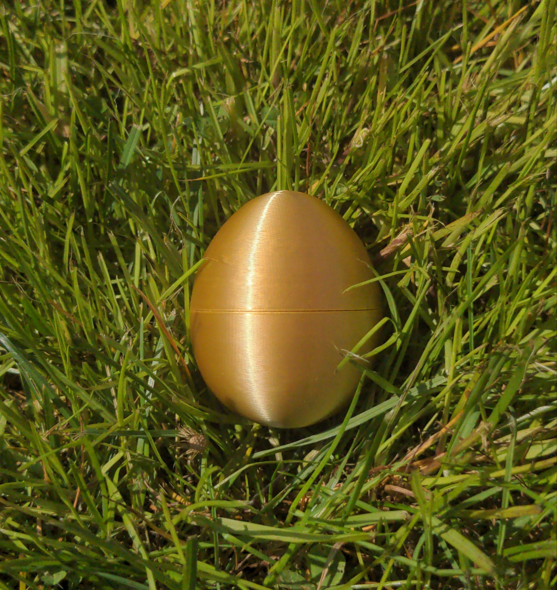 Egg (no support required)