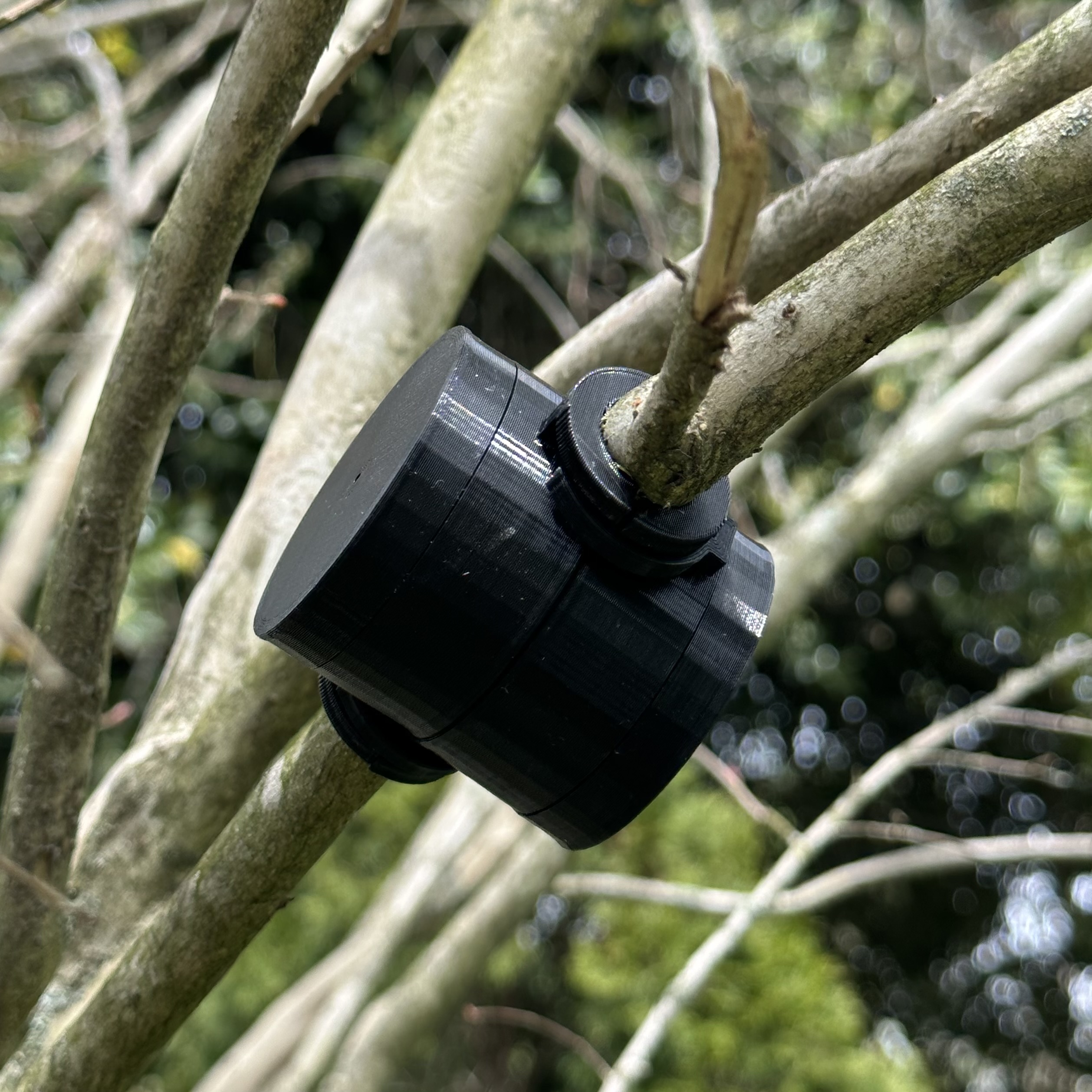 Tree Cloning Bulb with Quick Peak Cap by William Petruzzo Download