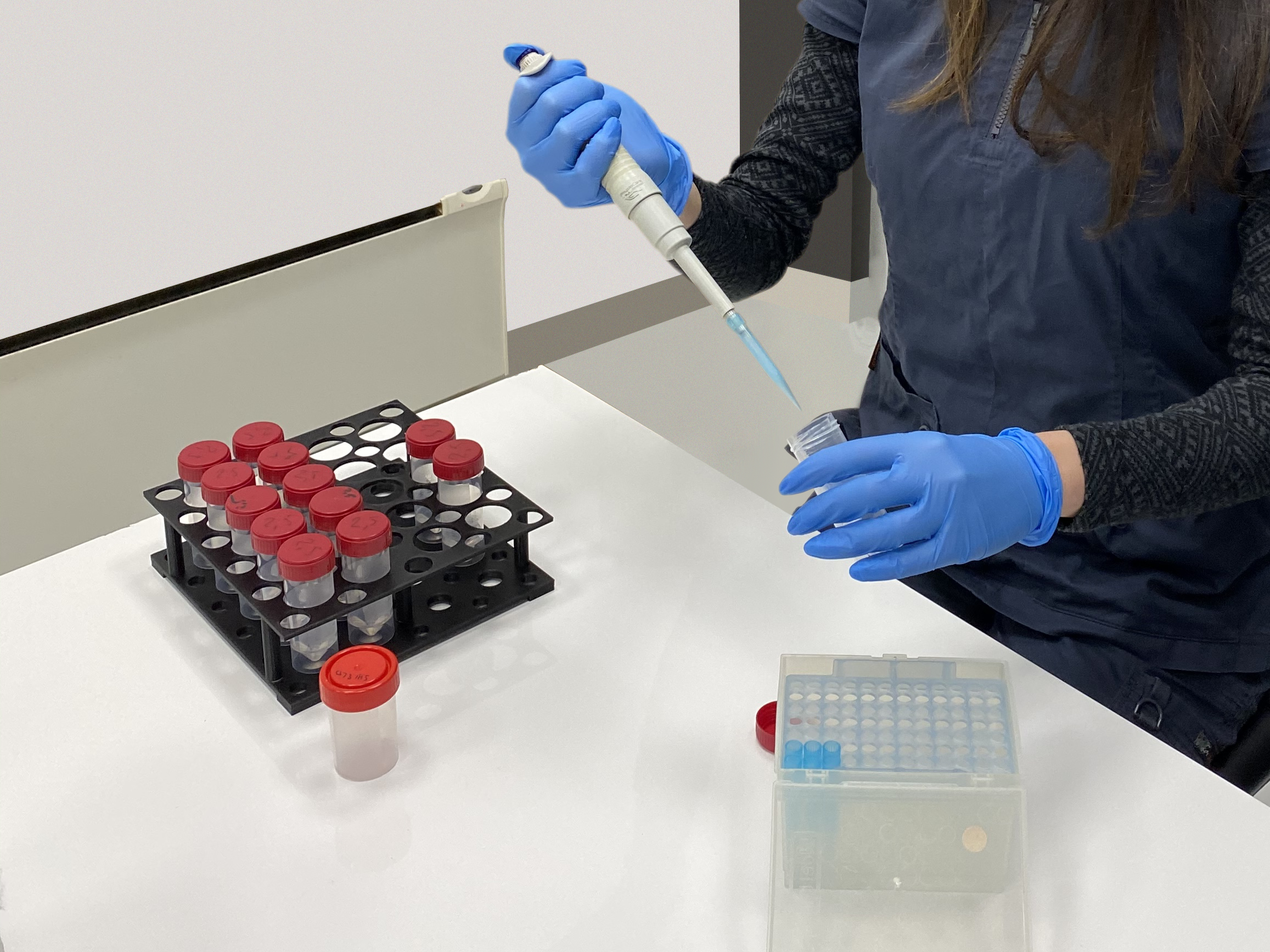 Lab Test Tube Rack