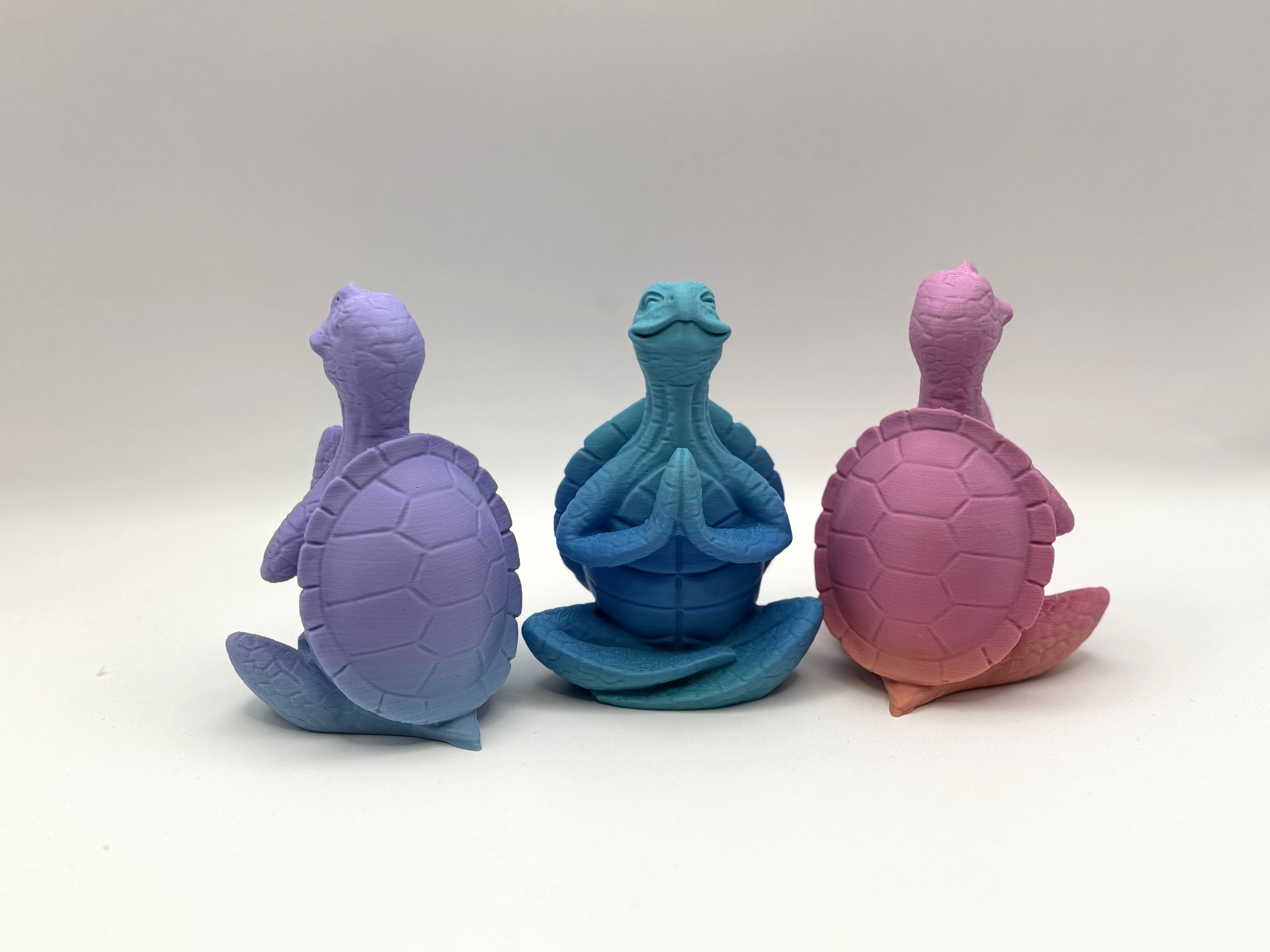 Miniatura 2 do modelo 3D Zen Turtle