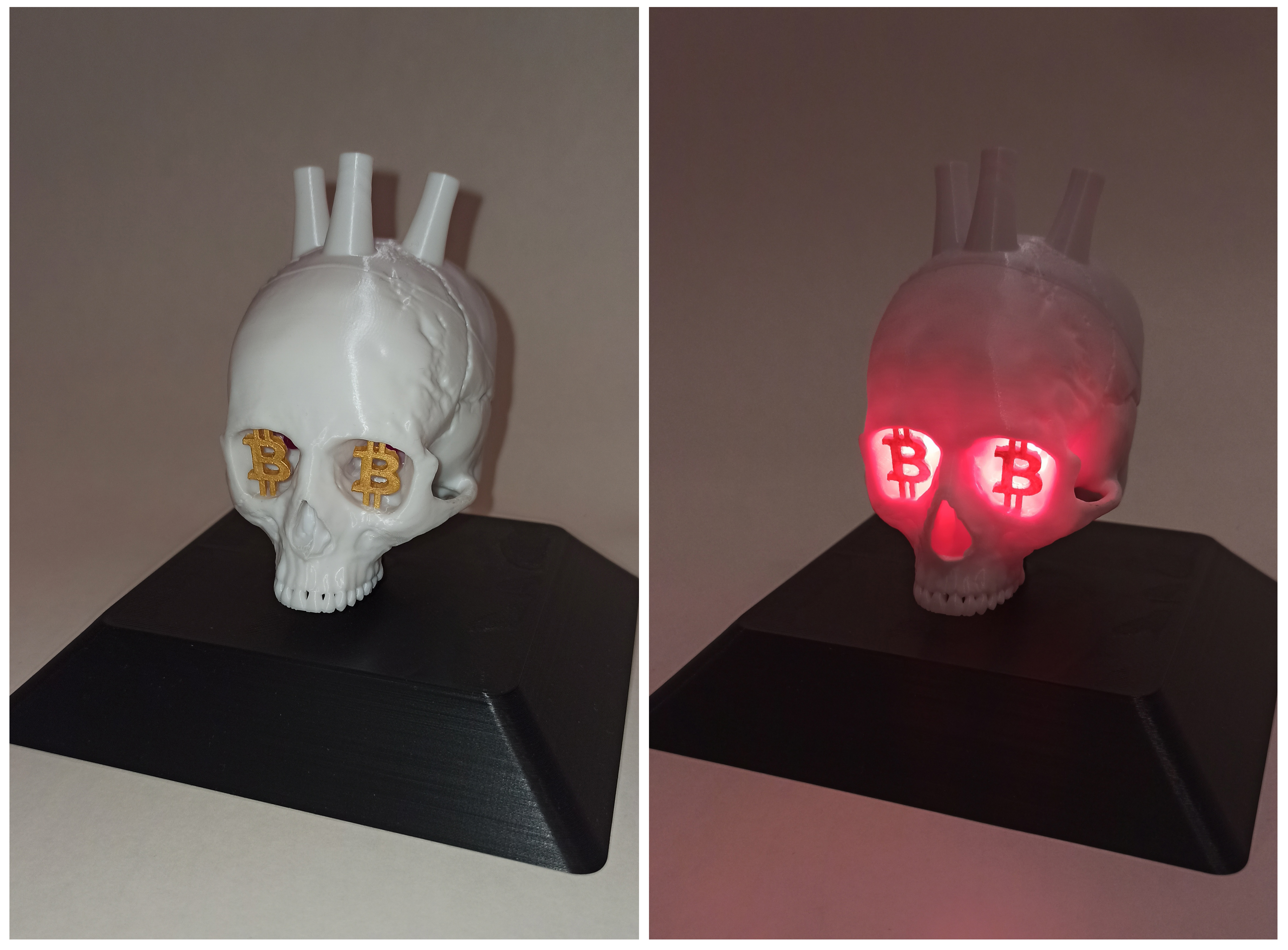 Sat Skull Platform V1