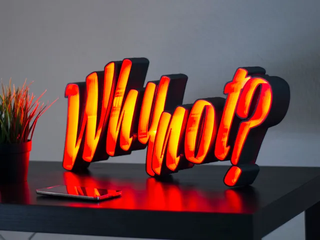 LED Light Letters "Why not?"