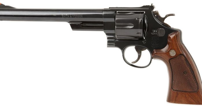 Smith & Wesson Model 29 8