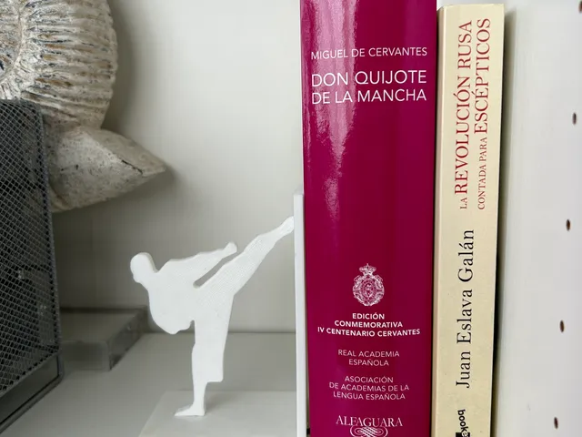 Sujeta Libros Karate
