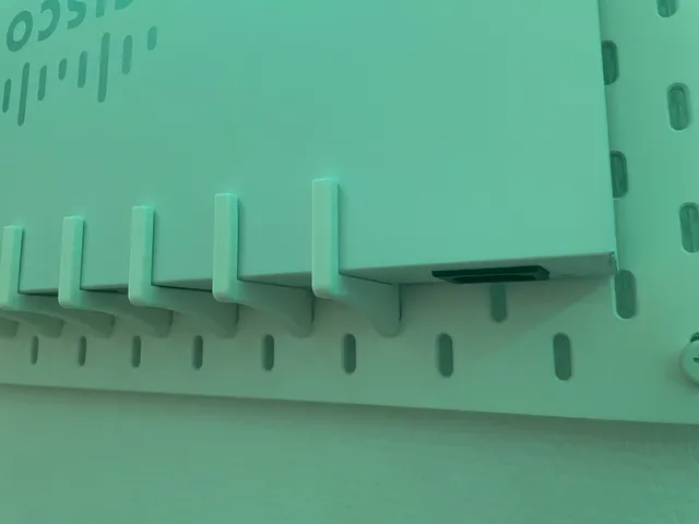 Skadis Mount for 19 inch server rack